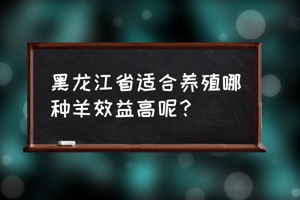 黑龙江养什么羊最好 黑龙江省适合养殖哪种羊效益高呢? 黑龙江养什么羊最好 黑龙江省适合养殖哪种羊效益高呢?