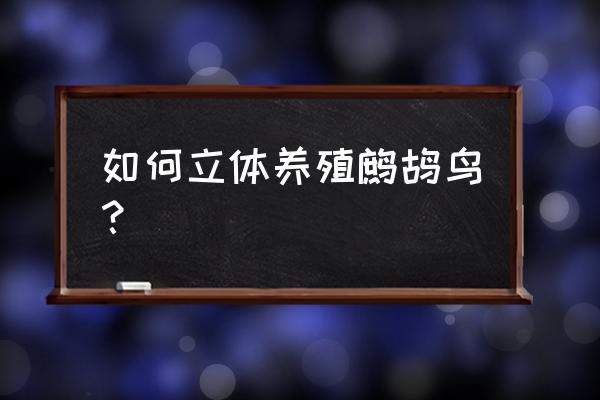 北京哪儿有鹧鸪养殖场 如何立体养殖鹧鸪鸟? 北京哪儿有鹧鸪养殖场 如何立体养殖鹧鸪鸟?