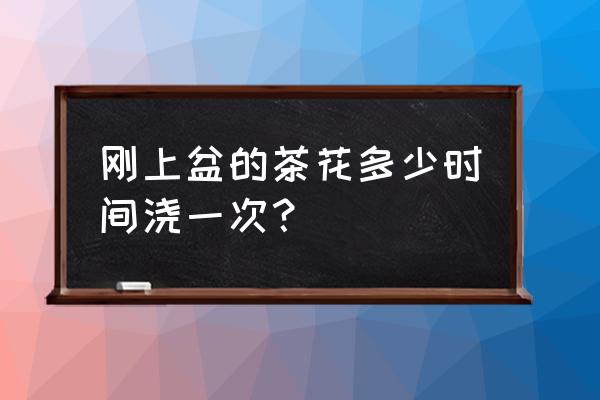 山茶花换盆后多长时间浇水 刚上盆的茶花多少时间浇一次? 山茶花换盆后多长时间浇水 刚上盆的茶花多少时间浇一次?