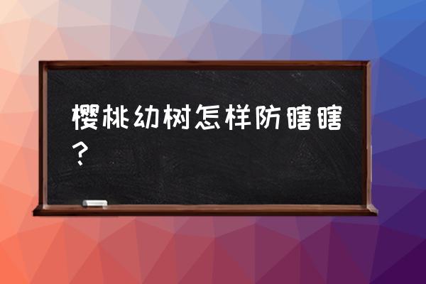 樱桃树流胶病专用药 樱桃幼树怎样防瞎瞎? 樱桃树流胶病专用药 樱桃幼树怎样防瞎瞎?