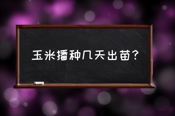 玉米种植20天了还没出苗怎么办 玉米播种几天出苗? 玉米种植20天了还没出苗怎么办 玉米播种几天出苗?