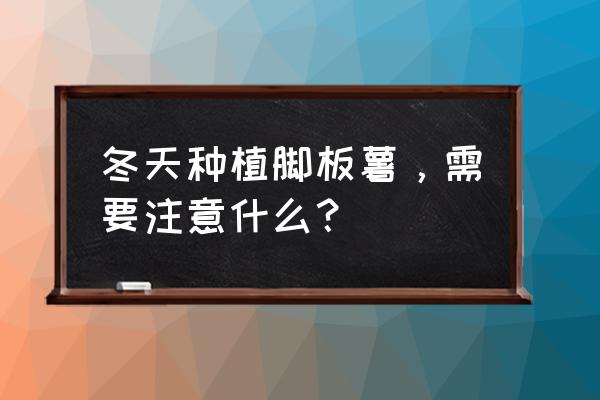 中国哪个地方最适合种脚板薯 冬天种植脚板薯,需要注意什么? 中国哪个地方最适合种脚板薯 冬天种植脚板薯,需要注意什么?