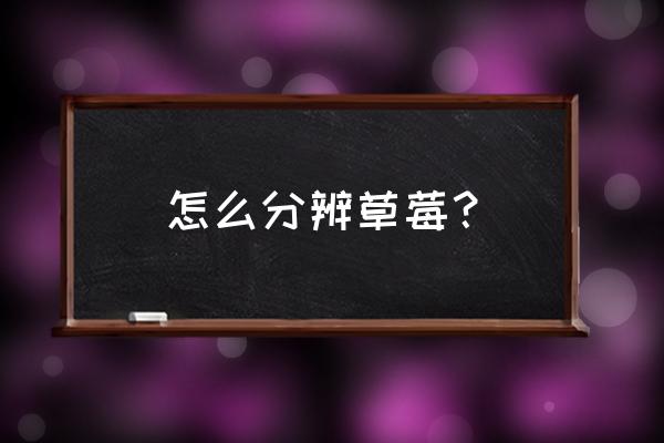 怎么知道自己的草莓是什么品种 怎么分辨草莓? 怎么知道自己的草莓是什么品种 怎么分辨草莓?