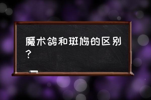 斑鸠和鸽子哪个对身体更好 魔术鸽和斑鸠的区别? 斑鸠和鸽子哪个对身体更好 魔术鸽和斑鸠的区别?