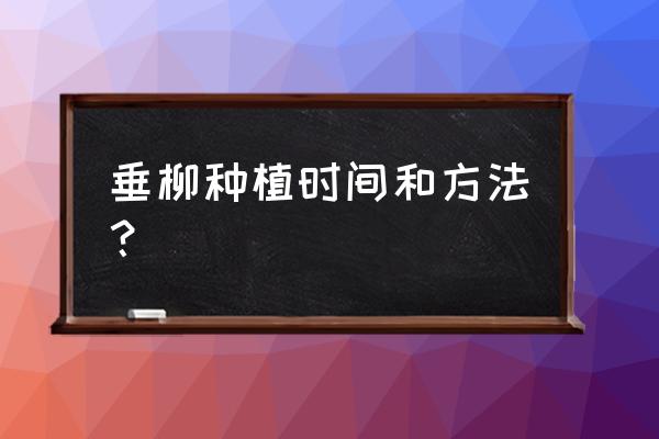 柳树苗的育苗时间 垂柳种植时间和方法? 柳树苗的育苗时间 垂柳种植时间和方法?