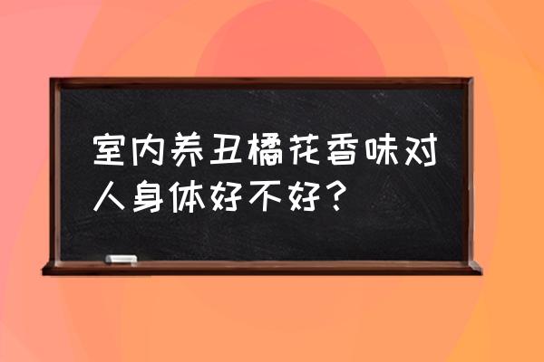 丑橘树苗怎么养 室内养丑橘花香味对人身体好不好? 丑橘树苗怎么养 室内养丑橘花香味对人身体好不好?