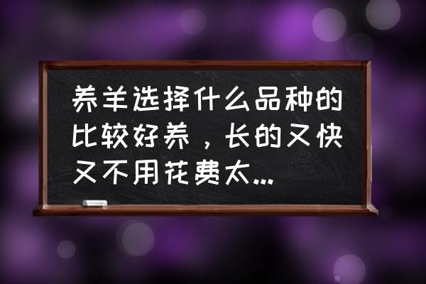 新手养羊怎么挑选种羊 养羊选择什么品种的比较好养,长的又快又不用花费太多时间啊? 新手养羊怎么挑选种羊 养羊选择什么品种的比较好养,长的又快又不用花费太多时间啊?