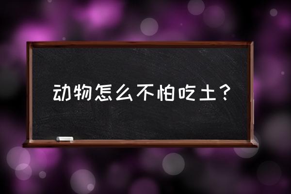 狗狗三个月吃土是什么原因 动物怎么不怕吃土? 狗狗三个月吃土是什么原因 动物怎么不怕吃土?