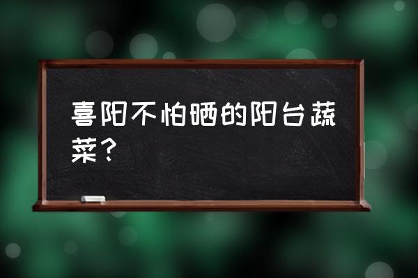阳台种植甘蓝长得慢怎么办 喜阳不怕晒的阳台蔬菜? 阳台种植甘蓝长得慢怎么办 喜阳不怕晒的阳台蔬菜?