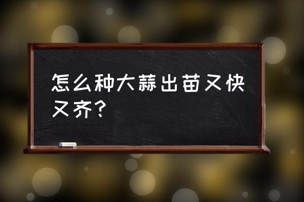 最佳种大蒜时间 怎么种大蒜出苗又快又齐? 最佳种大蒜时间 怎么种大蒜出苗又快又齐?