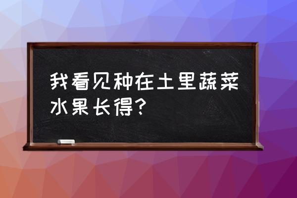 十八种水果籽盆栽水培 我看见种在土里蔬菜水果长得? 十八种水果籽盆栽水培 我看见种在土里蔬菜水果长得?