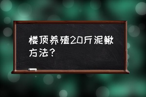 怎么在家里养殖泥鳅 楼顶养殖20斤泥鳅方法? 怎么在家里养殖泥鳅 楼顶养殖20斤泥鳅方法?
