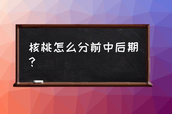 干果怎么挑出最好的 核桃怎么分前中后期? 干果怎么挑出最好的 核桃怎么分前中后期?