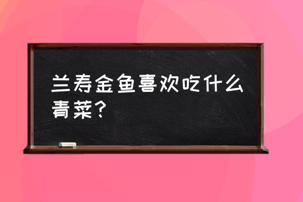 菠菜和芹菜还有白菜能一起吃吗 兰寿金鱼喜欢吃什么青菜? 菠菜和芹菜还有白菜能一起吃吗 兰寿金鱼喜欢吃什么青菜?