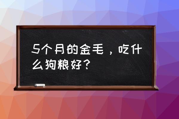 金毛怎么养胖最快 5个月的金毛,吃什么狗粮好? 金毛怎么养胖最快 5个月的金毛,吃什么狗粮好?