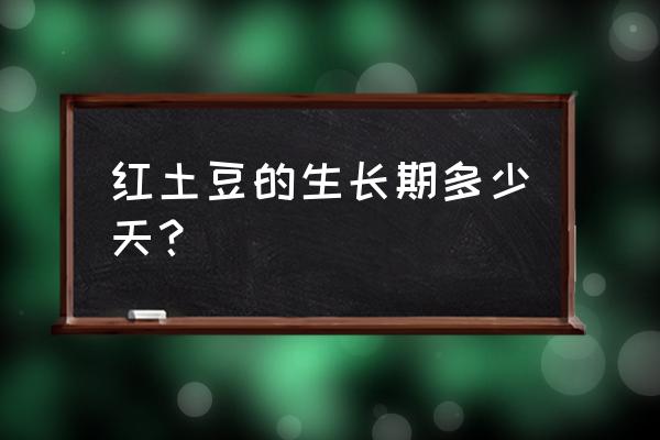马铃薯是地下块茎膨大才开花吗 红土豆的生长期多少天? 马铃薯是地下块茎膨大才开花吗 红土豆的生长期多少天?