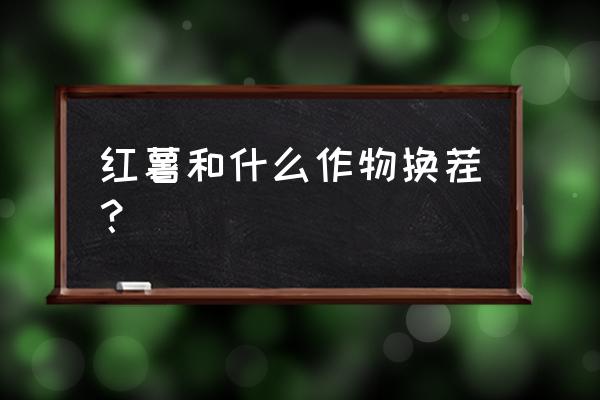 红薯套种什么最佳 红薯和什么作物换茬? 红薯套种什么最佳 红薯和什么作物换茬?