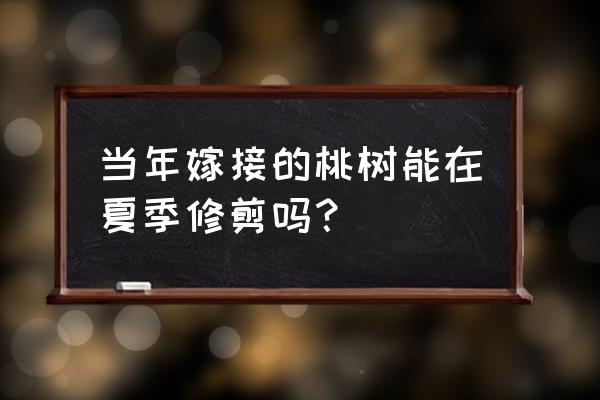 夏天桃树嫁接的正确方法 当年嫁接的桃树能在夏季修剪吗? 夏天桃树嫁接的正确方法 当年嫁接的桃树能在夏季修剪吗?