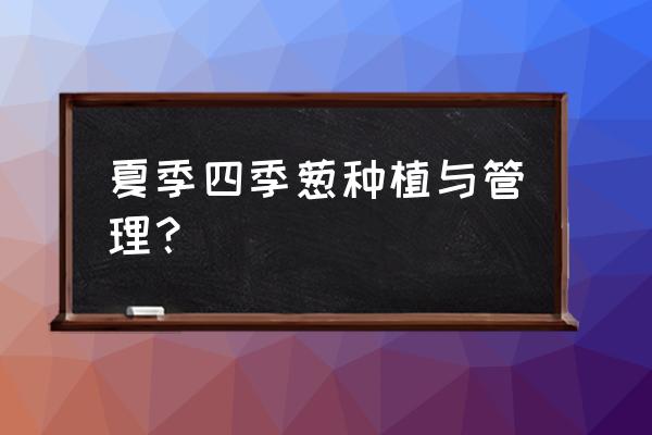 四季小葱种植方法大全 夏季四季葱种植与管理? 四季小葱种植方法大全 夏季四季葱种植与管理?