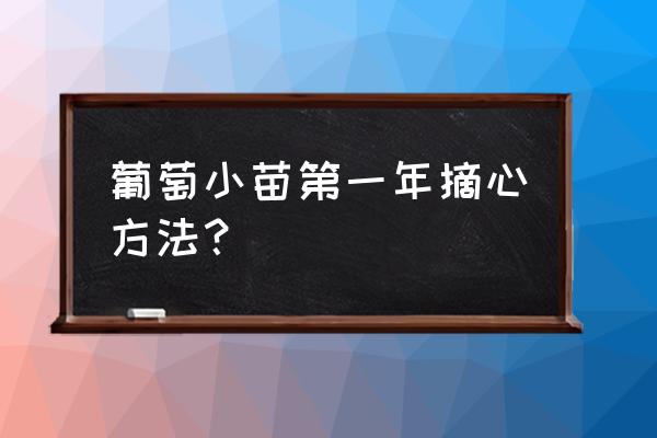葡萄侧芽留一叶摘心 葡萄小苗第一年摘心方法? 葡萄侧芽留一叶摘心 葡萄小苗第一年摘心方法?