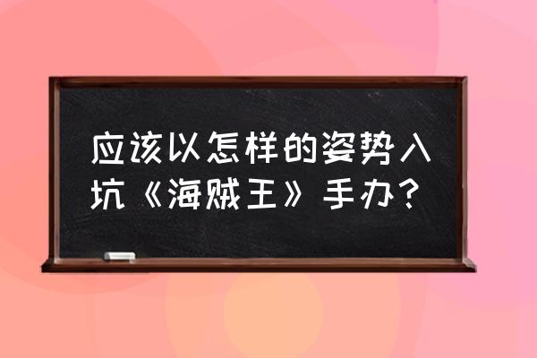 海贼王放置手游攻略 应该以怎样的姿势入坑《海贼王》手办? 海贼王放置手游攻略 应该以怎样的姿势入坑《海贼王》手办?